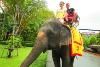 Катаемся на слонах, Тайланд