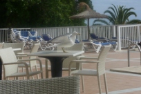 Вот такие чайки на острове Майорка