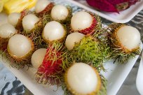 Рамбутан - его плоды напоминают маленькие грецкие орешки, покрытые волосками и наполненные восхитительной на вкус и нежной мякотью.